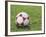 Soccer Ball-null-Framed Photographic Print