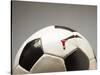 Soccer ball-Paul Taylor-Stretched Canvas