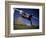 Soccer: Comp. Men-null-Framed Photographic Print