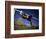 Soccer: Comp. Men-null-Framed Photographic Print