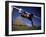 Soccer: Comp. Men-null-Framed Photographic Print