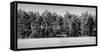 Soccer field in the countryside, Baden Wuerttemberg, Germany-Panoramic Images-Framed Stretched Canvas