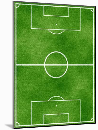 Soccer Field Sports Poster Print-null-Mounted Poster