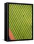 Soccer field-George Hammerstein-Framed Stretched Canvas
