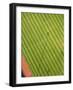 Soccer field-George Hammerstein-Framed Photographic Print