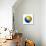 Soccer Football Ball with Bosnia and Herzegovina Flag-daboost-Stretched Canvas displayed on a wall