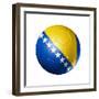 Soccer Football Ball with Bosnia and Herzegovina Flag-daboost-Framed Premium Giclee Print