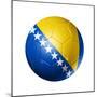 Soccer Football Ball with Bosnia and Herzegovina Flag-daboost-Mounted Premium Giclee Print