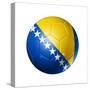 Soccer Football Ball with Bosnia and Herzegovina Flag-daboost-Stretched Canvas