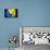 Soccer Football Ball with Bosnia and Herzegovina Flag-daboost-Stretched Canvas displayed on a wall