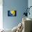 Soccer Football Ball with Bosnia and Herzegovina Flag-daboost-Mounted Art Print displayed on a wall