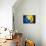 Soccer Football Ball with Bosnia and Herzegovina Flag-daboost-Mounted Art Print displayed on a wall