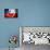 Soccer Football Ball with Chile Flag-daboost-Mounted Art Print displayed on a wall