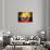 Soccer Football Ball with Ecuador Flag-daboost-Art Print displayed on a wall