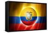 Soccer Football Ball with Ecuador Flag-daboost-Framed Stretched Canvas