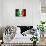 Soccer Football Ball with Italia Flag-daboost-Art Print displayed on a wall