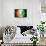 Soccer Football Ball with Ivory Coast Flag-daboost-Framed Stretched Canvas displayed on a wall