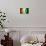 Soccer Football Ball with Ivory Coast Flag-daboost-Mounted Premium Giclee Print displayed on a wall