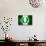 Soccer Football Ball with Nigeria Flag-daboost-Stretched Canvas displayed on a wall