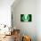 Soccer Football Ball with Nigeria Flag-daboost-Art Print displayed on a wall