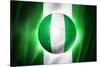 Soccer Football Ball with Nigeria Flag-daboost-Stretched Canvas