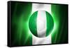 Soccer Football Ball with Nigeria Flag-daboost-Framed Stretched Canvas