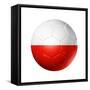 Soccer Football Ball With Poland Flag-daboost-Framed Stretched Canvas