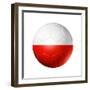 Soccer Football Ball With Poland Flag-daboost-Framed Premium Giclee Print