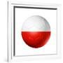 Soccer Football Ball With Poland Flag-daboost-Framed Premium Giclee Print