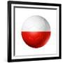 Soccer Football Ball With Poland Flag-daboost-Framed Premium Giclee Print