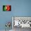 Soccer Football Ball with Portugal Flag-daboost-Art Print displayed on a wall