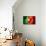 Soccer Football Ball with Portugal Flag-daboost-Art Print displayed on a wall