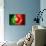 Soccer Football Ball with Portugal Flag-daboost-Art Print displayed on a wall