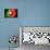 Soccer Football Ball with Portugal Flag-daboost-Stretched Canvas displayed on a wall