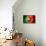 Soccer Football Ball with Portugal Flag-daboost-Stretched Canvas displayed on a wall