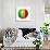 Soccer Football Ball With Senegal Flag-daboost-Art Print displayed on a wall