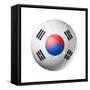 Soccer Football Ball with South Korea Flag-daboost-Framed Stretched Canvas