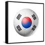 Soccer Football Ball with South Korea Flag-daboost-Framed Stretched Canvas