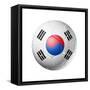 Soccer Football Ball with South Korea Flag-daboost-Framed Stretched Canvas