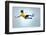 Soccer Football Kick Striker Scoring Goal with Accurate Shot for Brazil Team World Cup-warrengoldswain-Framed Photographic Print