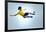 Soccer Football Kick Striker Scoring Goal with Accurate Shot for Brazil Team World Cup-warrengoldswain-Framed Photographic Print