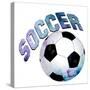 Soccer Girl 1-Kimberly Allen-Stretched Canvas