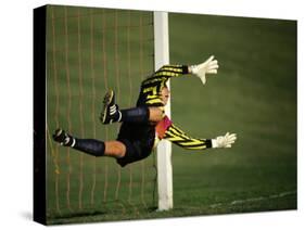 Soccer Goalie in Action-null-Stretched Canvas