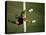 Soccer Goalie in Action-null-Stretched Canvas