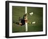 Soccer Goalie in Action-null-Framed Premium Photographic Print