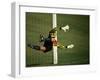 Soccer Goalie in Action-null-Framed Premium Photographic Print