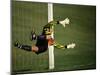 Soccer Goalie in Action-null-Mounted Premium Photographic Print