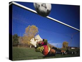 Soccer Goalie in Action-null-Stretched Canvas