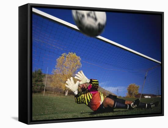 Soccer Goalie in Action-null-Framed Stretched Canvas