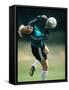 Soccer Goalie in Action-null-Framed Stretched Canvas